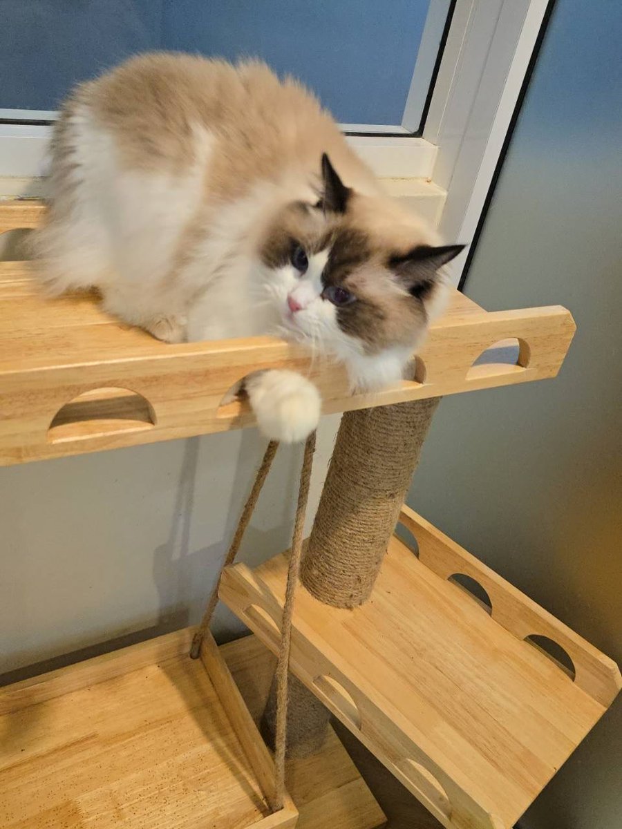 🐱 • mombbrightvc IG Update 260408

น่ารัก 🤍

#Amemeow
#bbrightvc