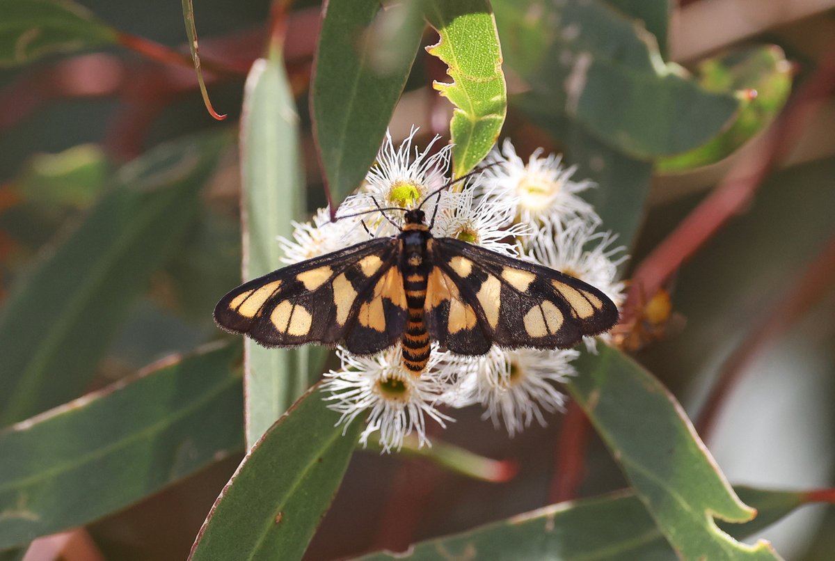 Sandy Horne tweet media