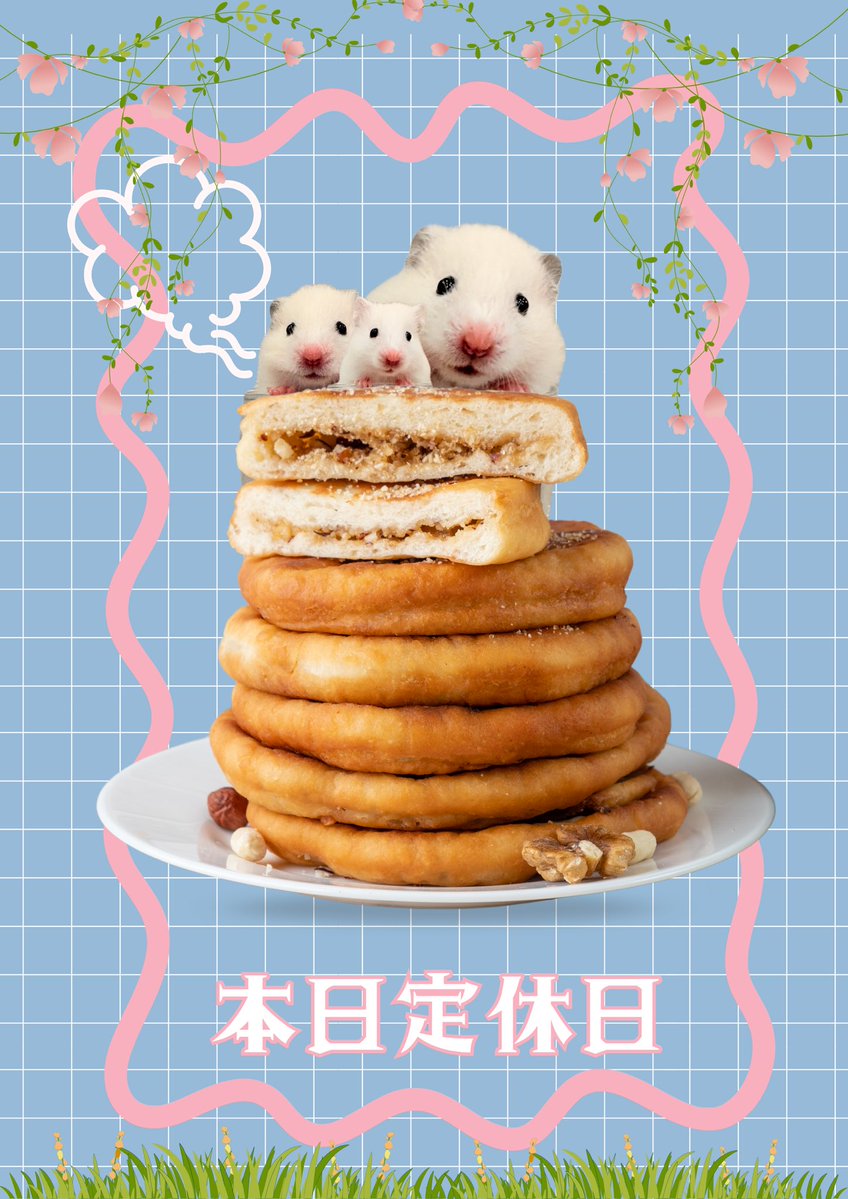 🐹ふるくる-Frucle-🐹 tweet media