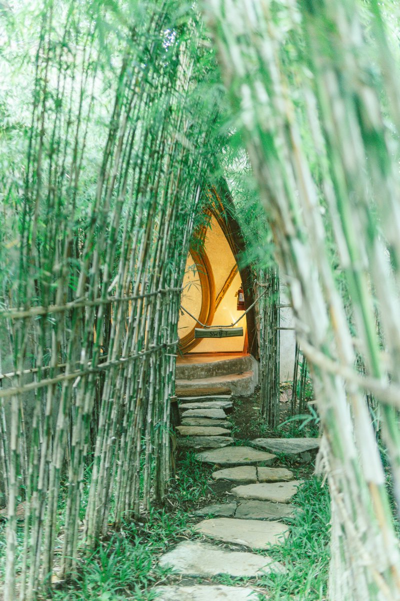 green_byjohn's tweet photo. Starling Nest is shaped like a raindrop. The structure is curvilinear bamboo, designed by IBUKU, the studio founded by Elora Hardy. Freeform skylights cut through the high ceiling. The floors are lime mud. The entrance is a nautical copper revolving door in the shape of a teardrop. The outdoor bathroom has a copper rain shower and copper sink. It sleeps two, sits 60 steps from reception, and looks out over the village side of the property.

#StarlingNest #Bambo #housegoals #NatureVibes #SlowLiving #Ubud #Bali