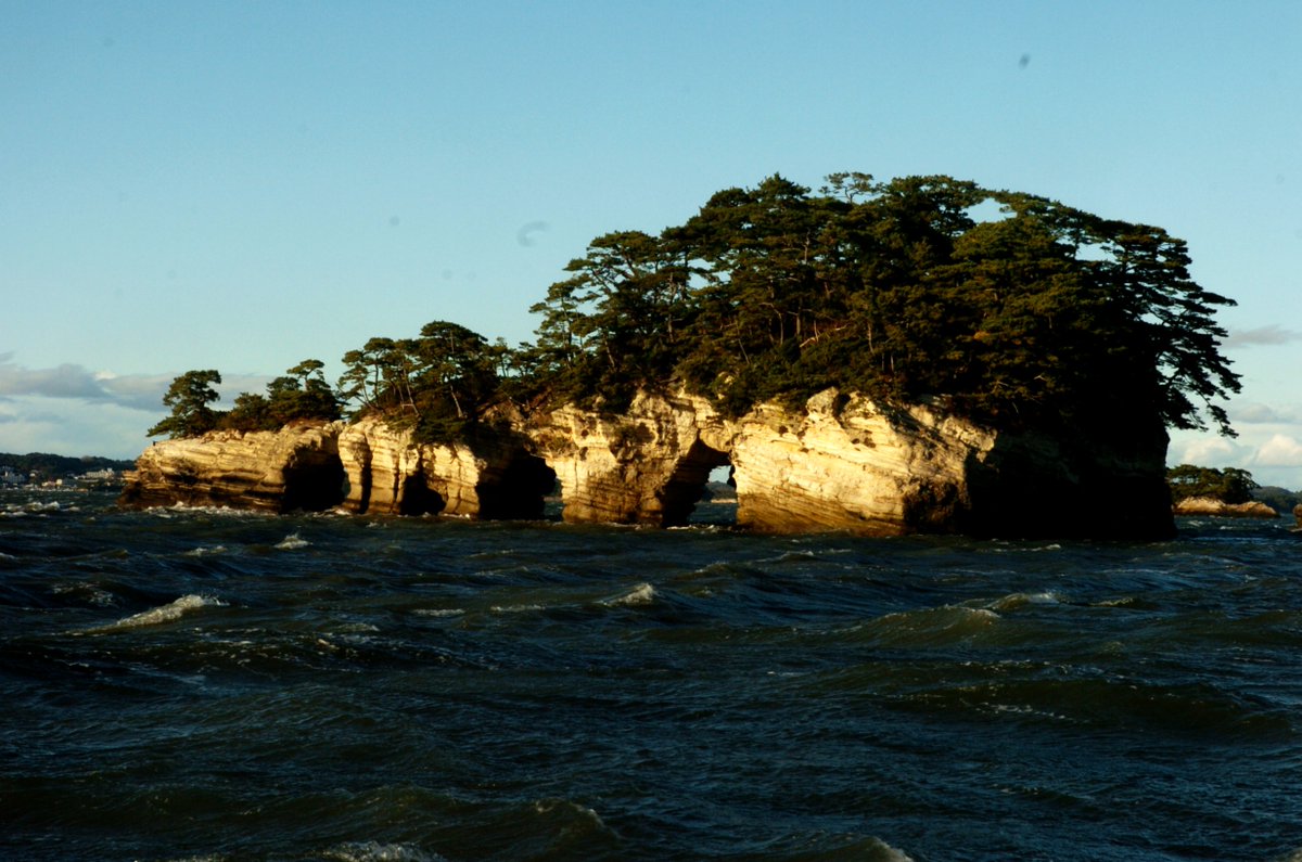 33miura's tweet image. 松島
 
#Cameras
#Leica
#NIKON