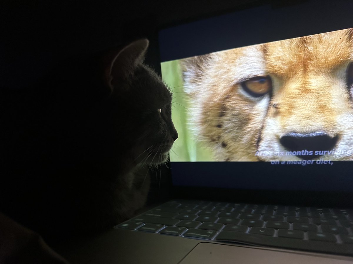 Suze Kay tweet media