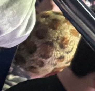 StevePulsone's tweet photo. @StevenCheah jaguar hair spotted at the blue jays game https://t.co/GcEikHs0C0