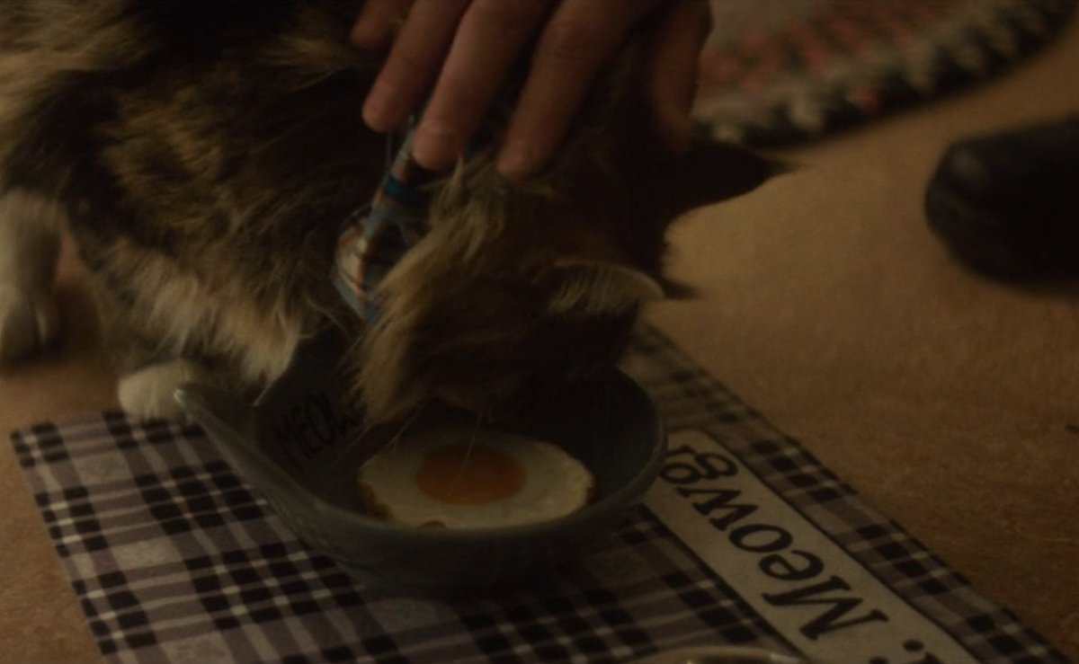 Daredevil Shots tweet media