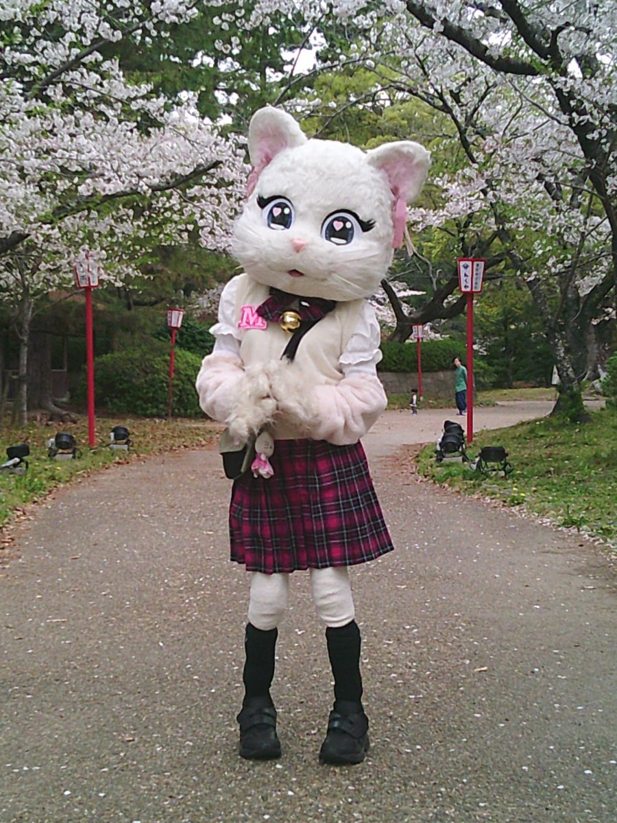 ミスティ日記♡ tweet media