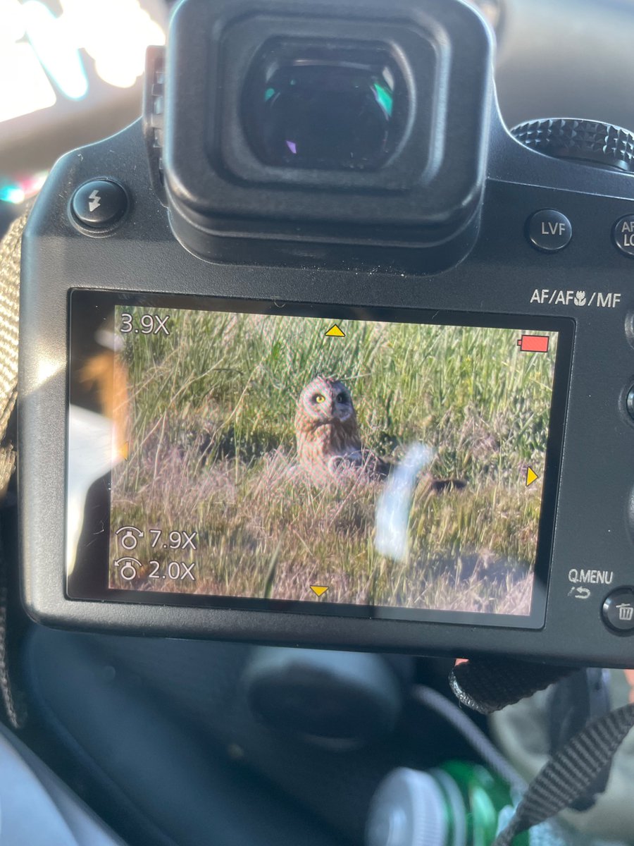 egg 🇵🇸 tweet media