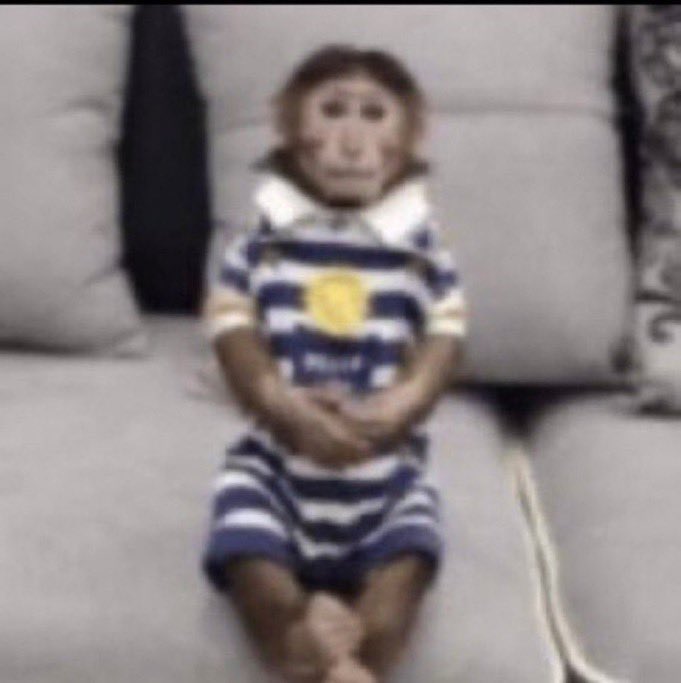 Titia comenta 🧙 tweet media