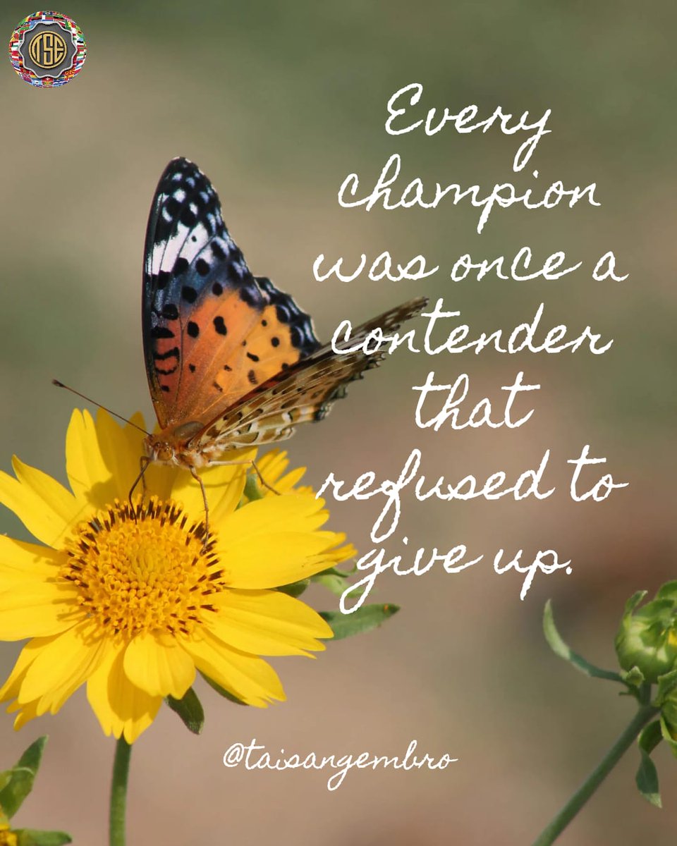 Tai Sang UAE tweet media