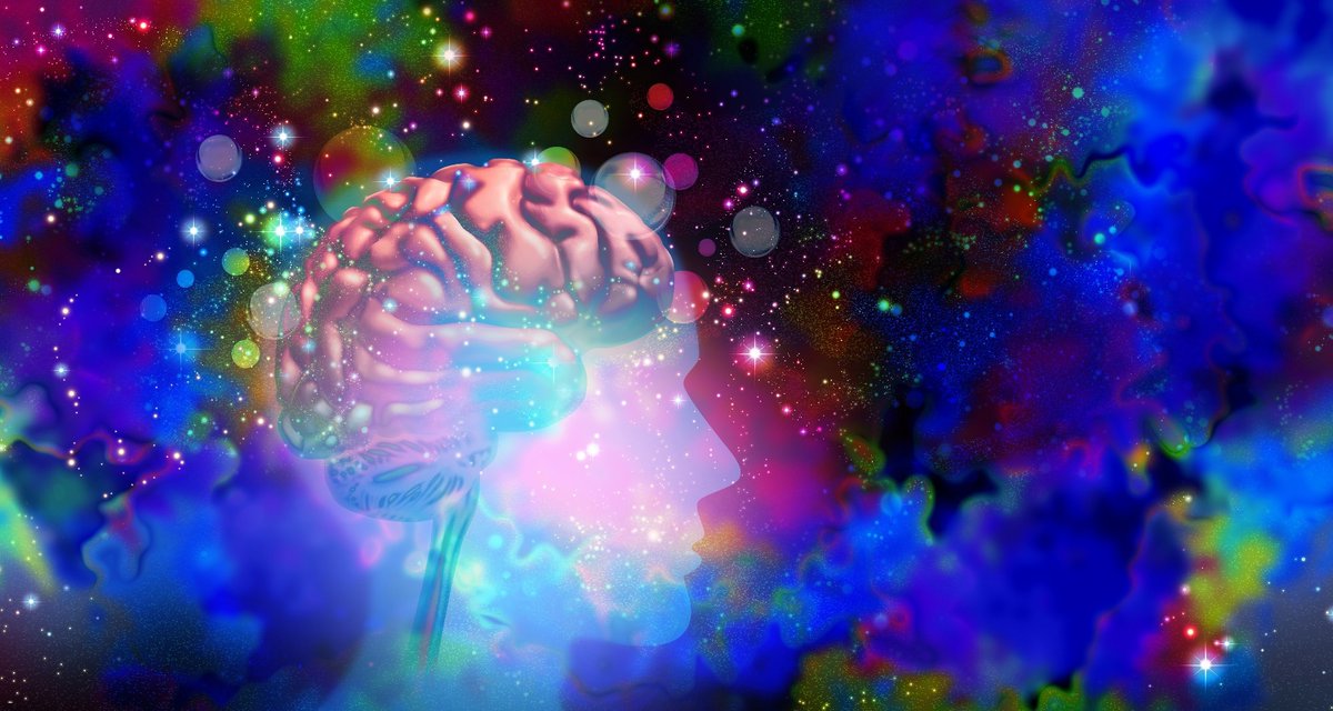 NewsMedical's tweet image. Psychedelics don't just change perception - they rewire how brain networks talk to each other 🧠✨ Scientists have uncovered a core pattern in the brain's circuitry under these drugs.  news-medical.net/news/20260407/… #Psychedelics #Neuroscience @NatureMedicine