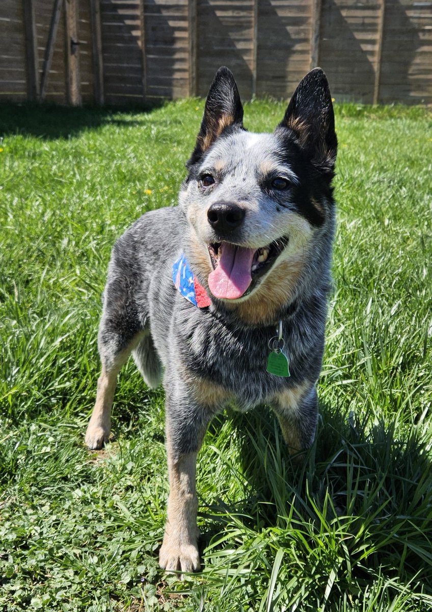 MissouriCowgirl tweet media