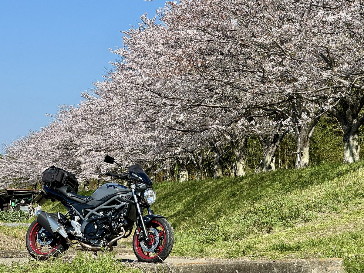 乗る男 @SV650他 tweet media