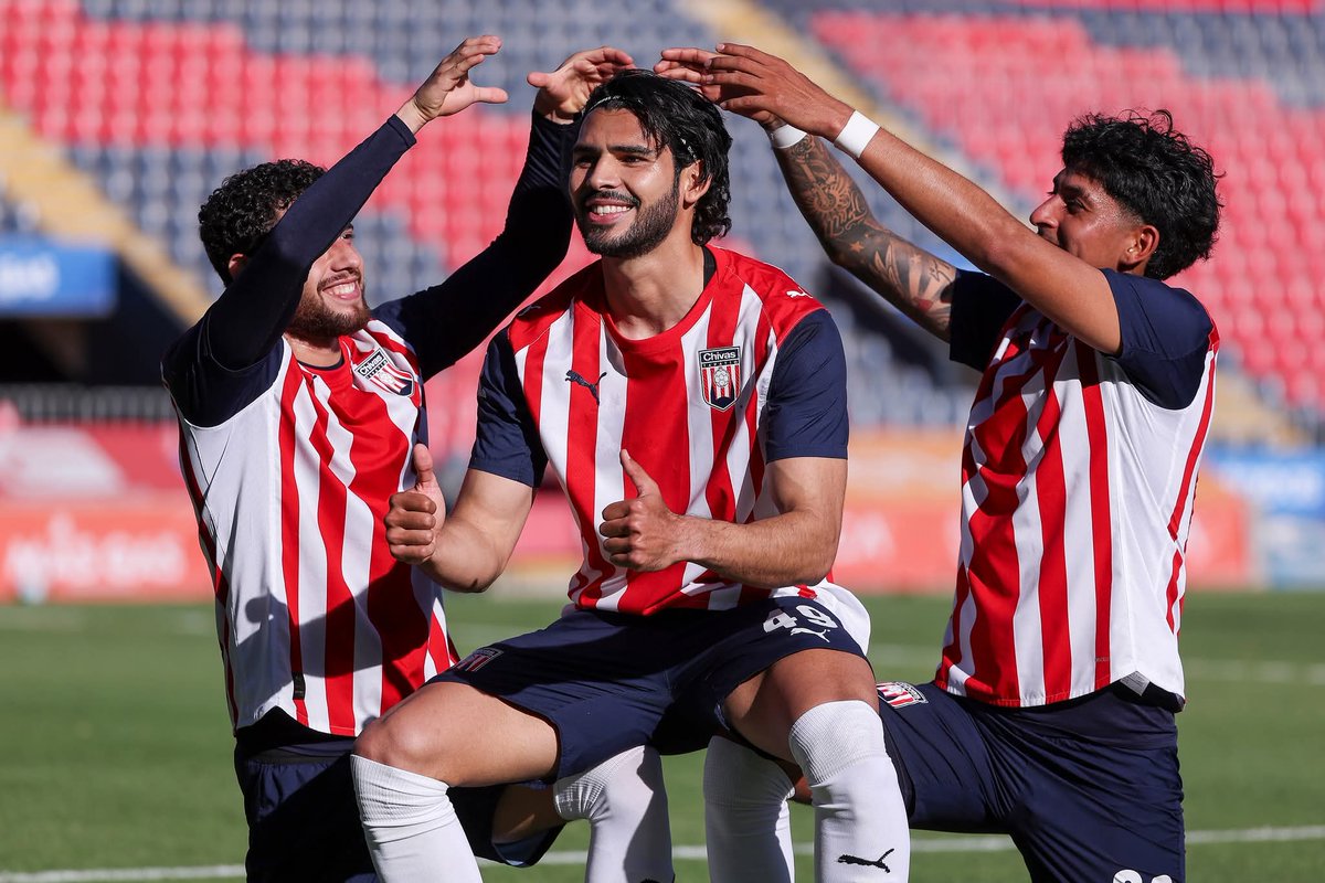 Liga de Plata MX tweet media