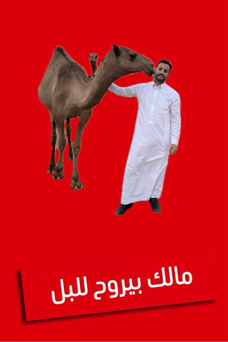 ناصر الحمادين tweet media