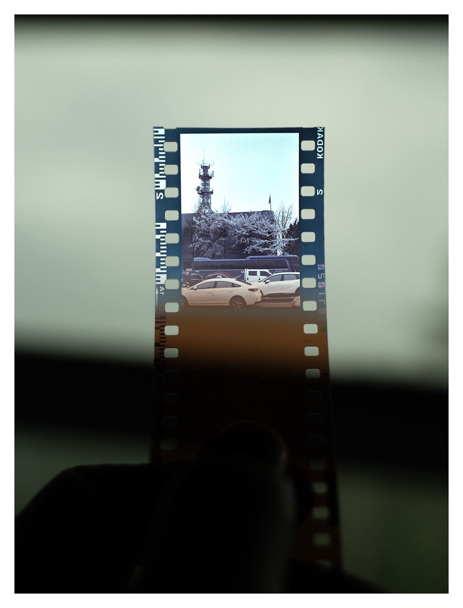 🧭☁️SILVER٩(๑❛ᴗ❛๑)۶ tweet media