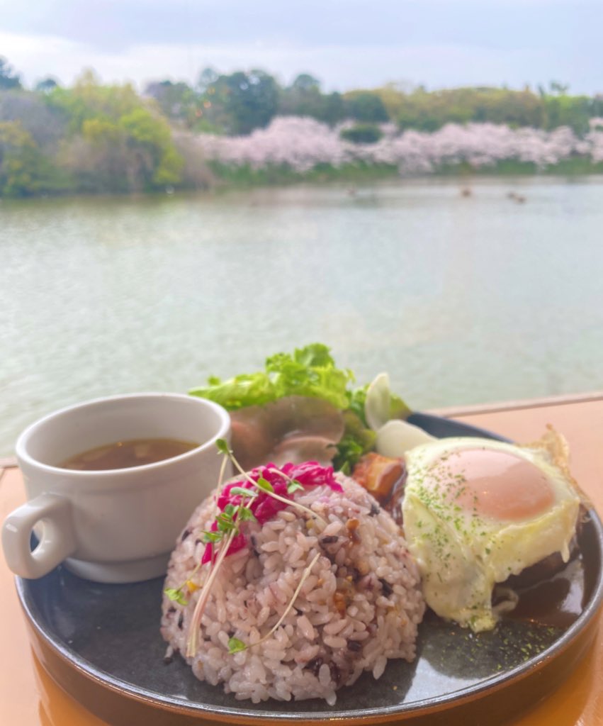 HapiTea(ハピティー) tweet media