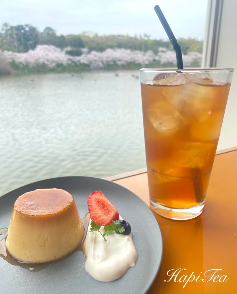 HapiTea(ハピティー) tweet media