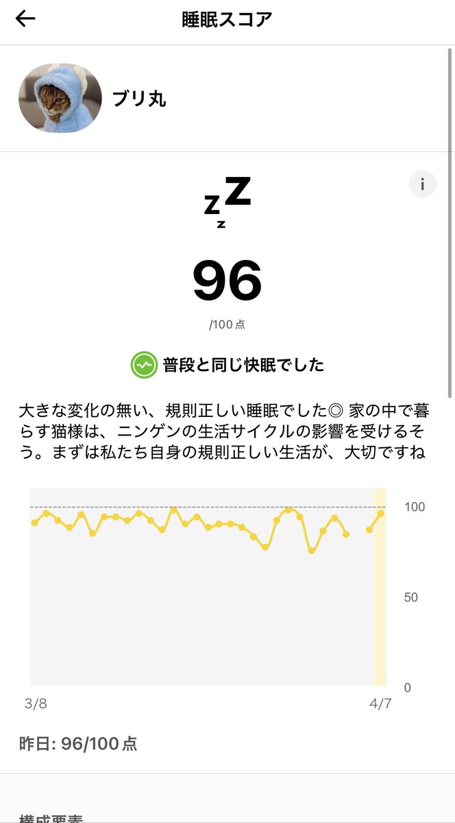 Catlog（キャトログ） tweet media
