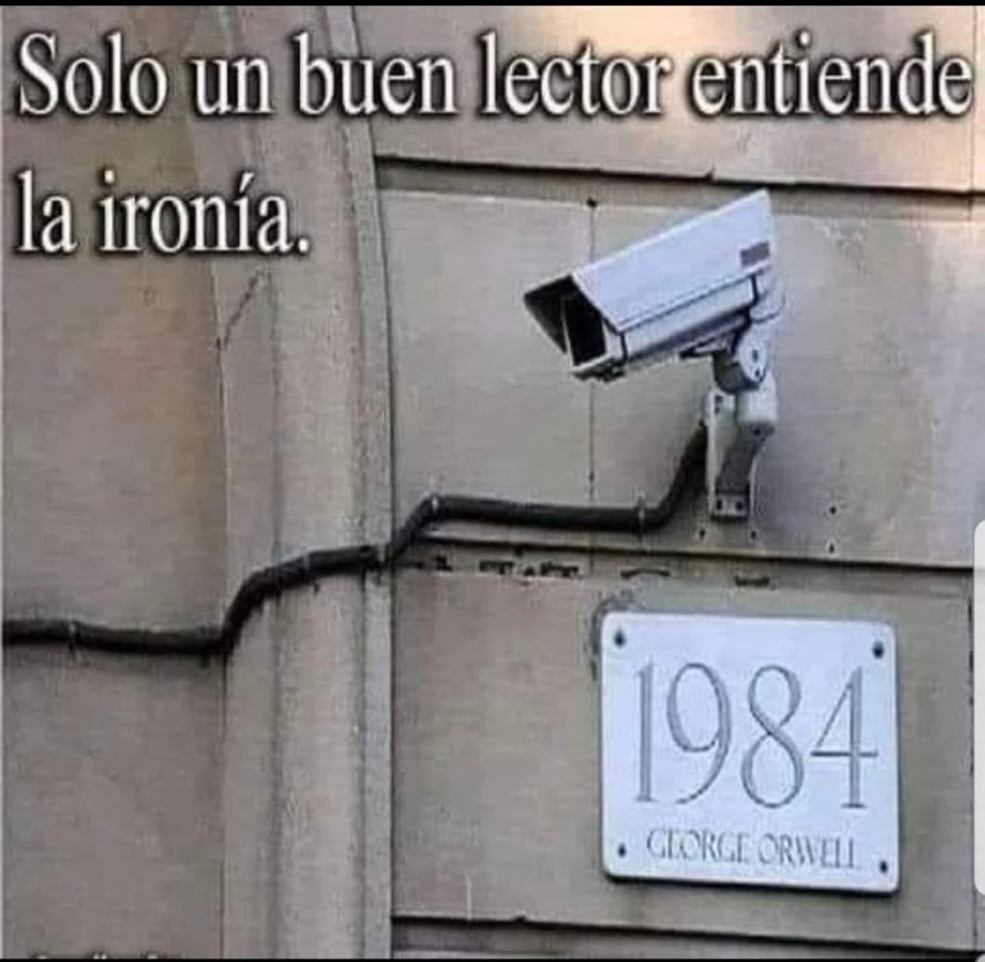 Rincón Curioso tweet media