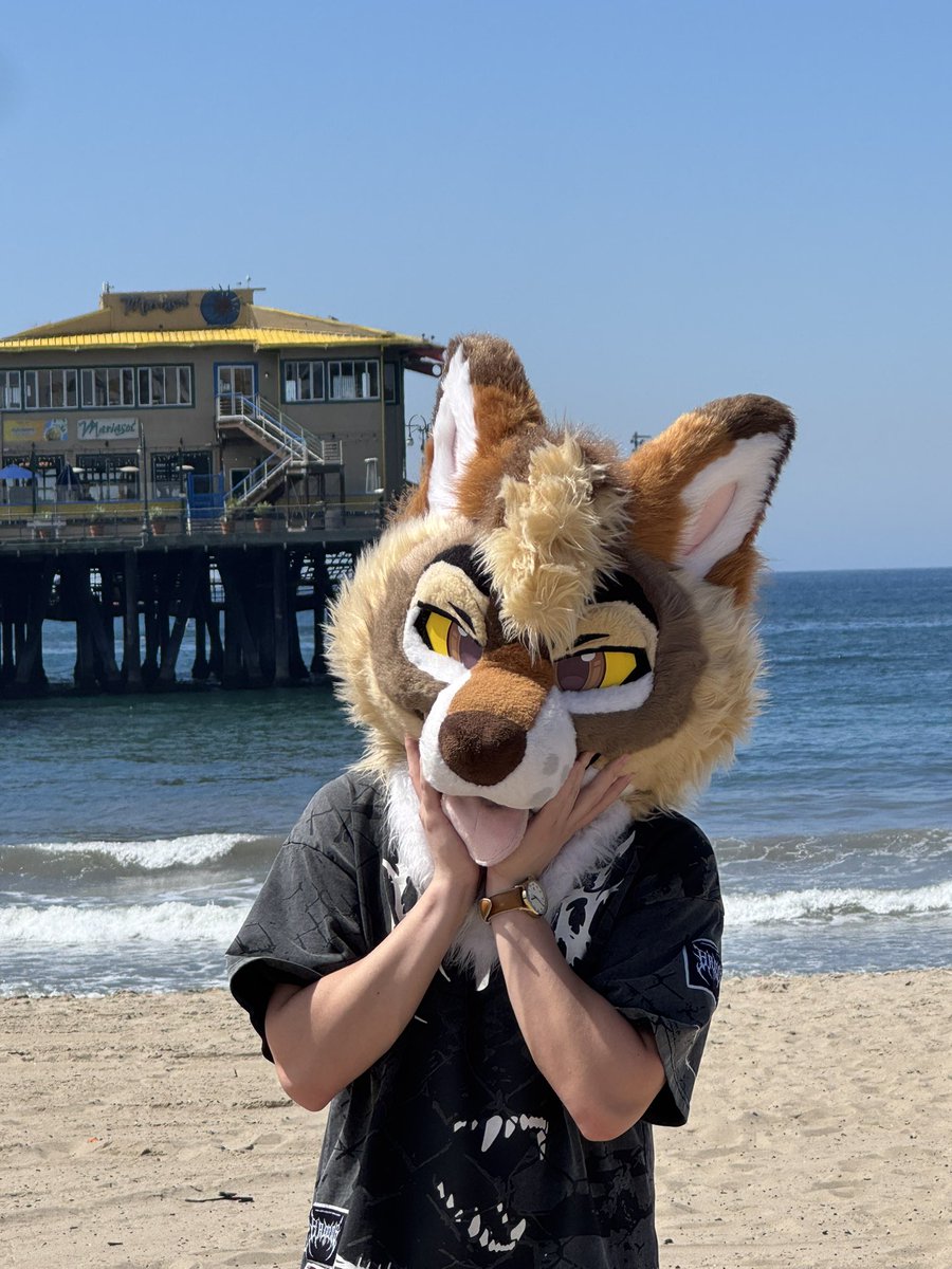 Cedar 🌵🔜 FWA tweet media