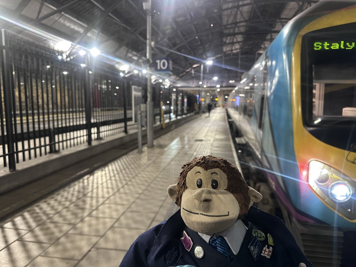 Philip Marsh 🐵 tweet media