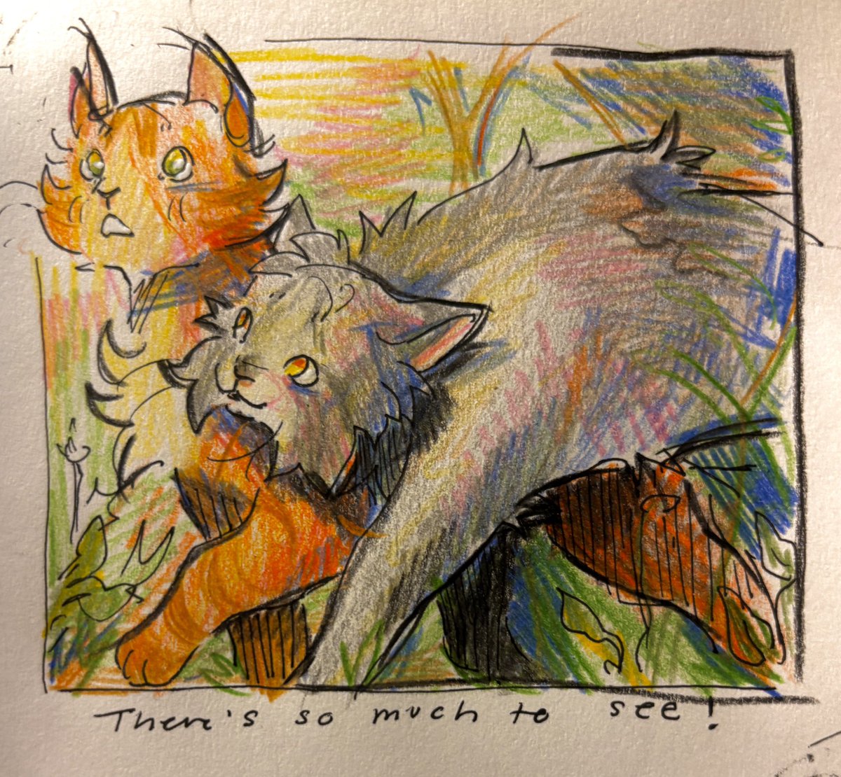 catslank tweet picture