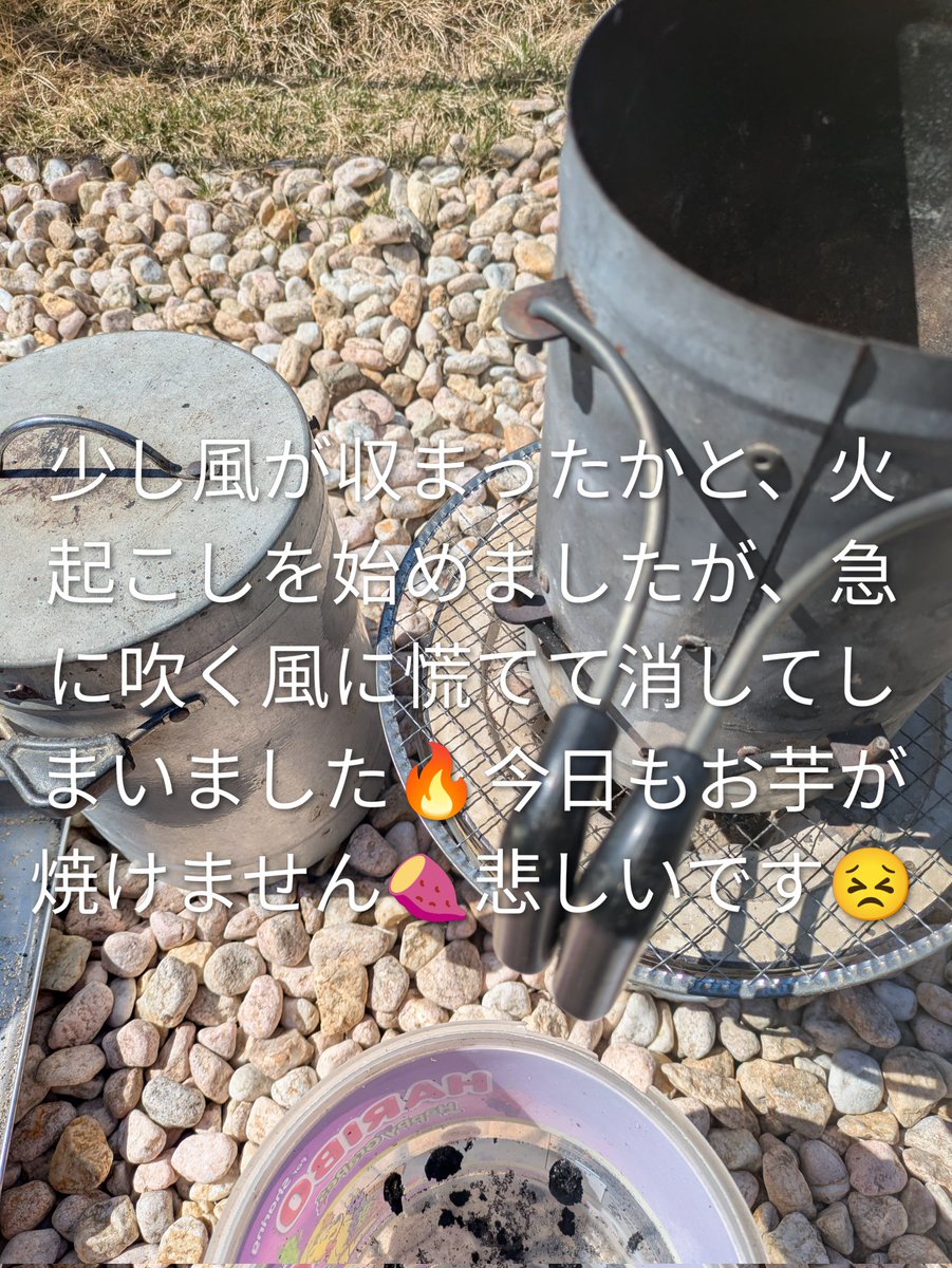 IMOMARU42.79km tweet media