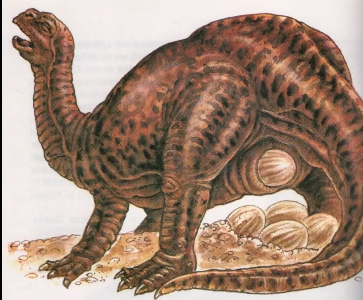 𝔐𝔞𝔱𝔱༒ ⋰ tweet media