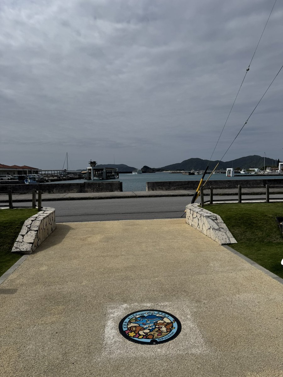 HRD090@PokemonGO🇯🇵 tweet media