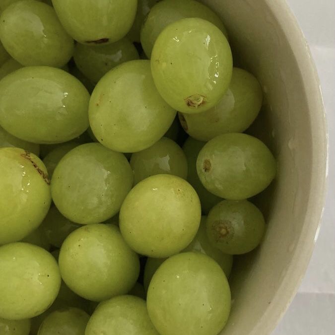 emi ENHYPEN IS 7 tweet media