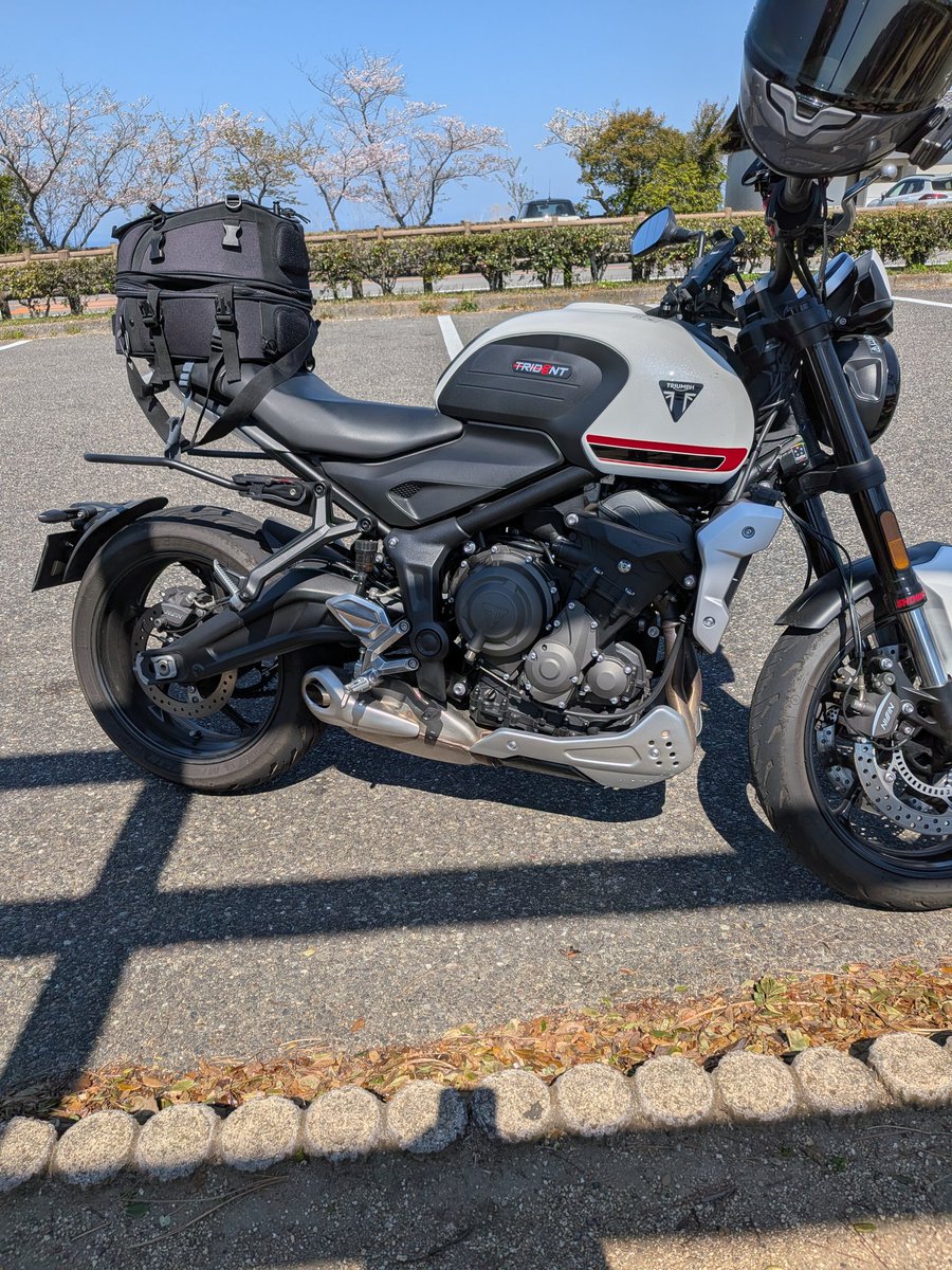 ドッグダック tweet media