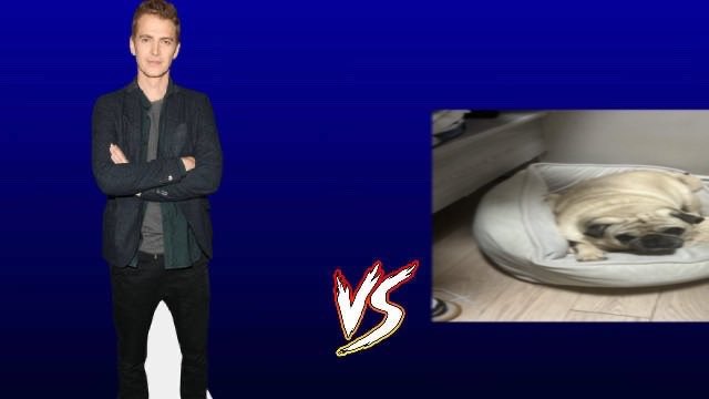 Marcus ✧.* 🛰️🪨 tweet media