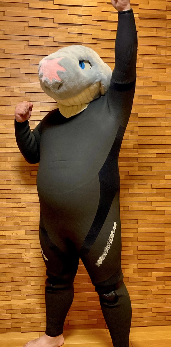 セーヤwithサーフ tweet media