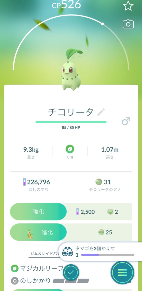 ダイヤス tweet media