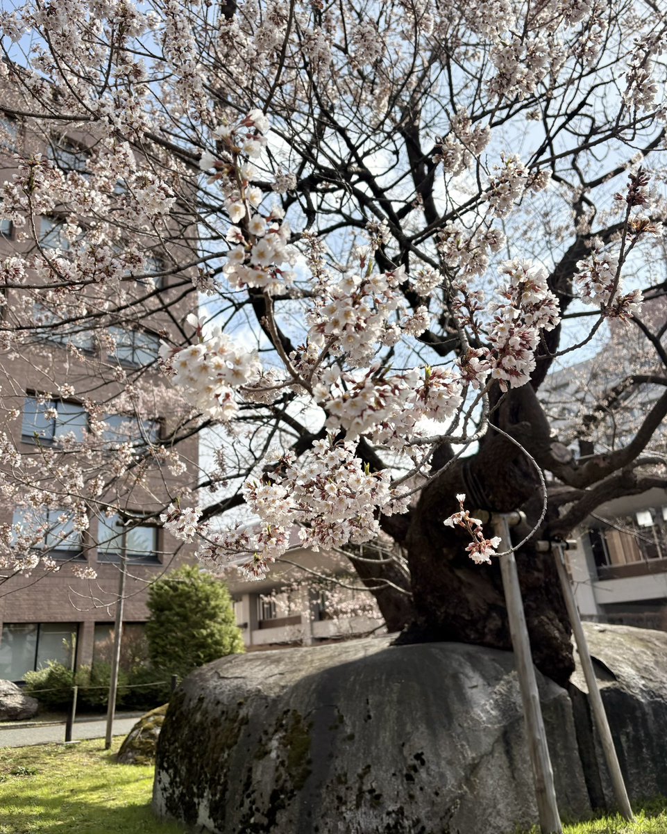 田中美菜子 tweet media