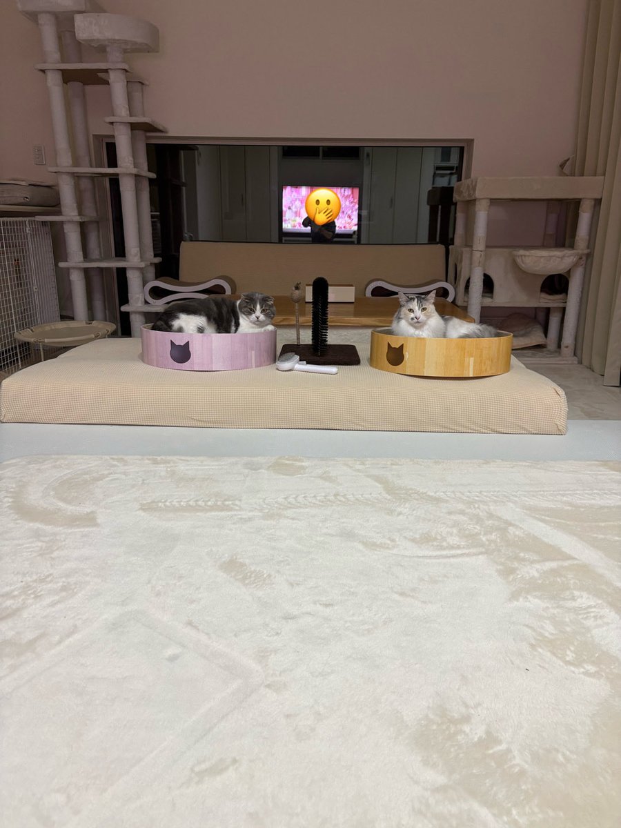 えむえむ tweet media