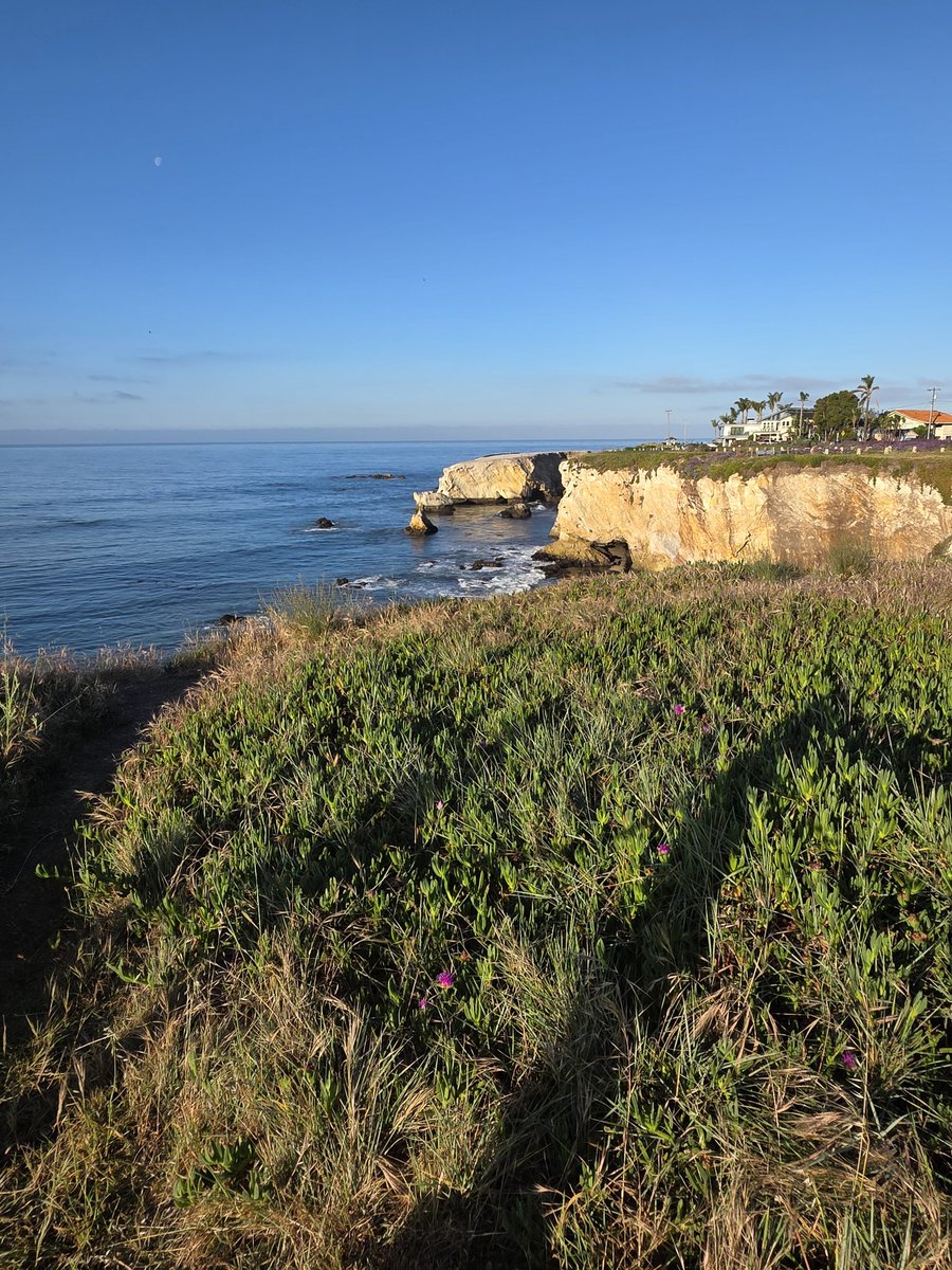 nomoretired2023's tweet image. Morning brief walk. #CaliforniaCentralCoast #SpringBreak