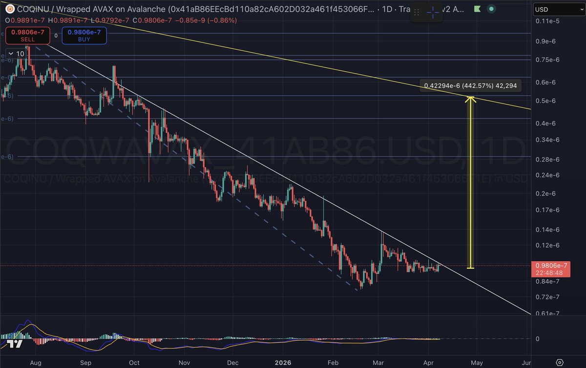 dodgy coq dealer🔺🐓 tweet media