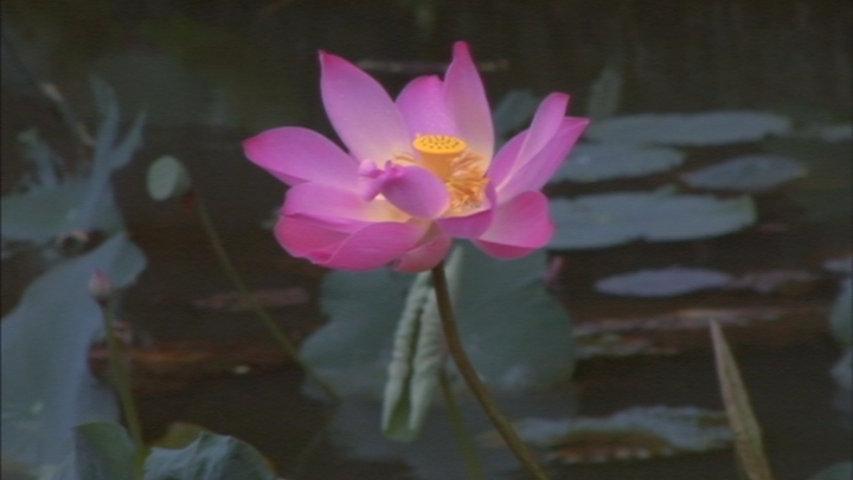 Cristian tweet media