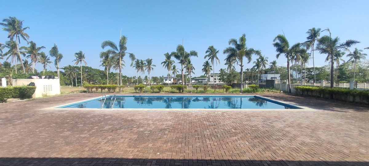 xtreffeilläx tweet media