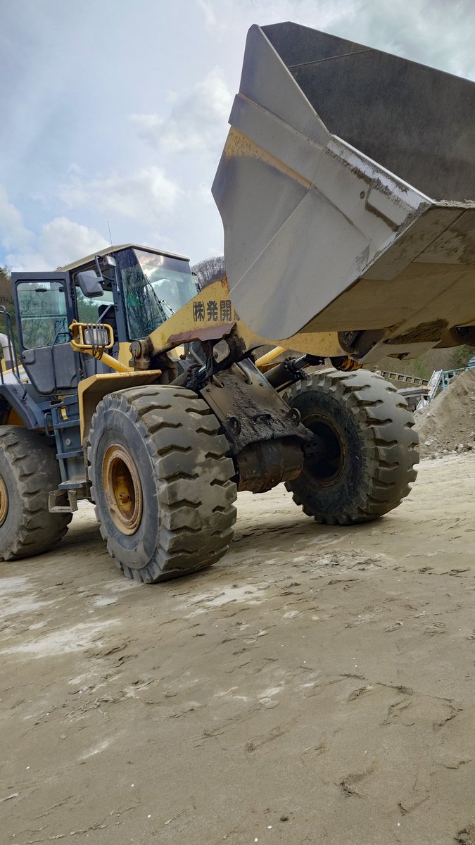 むーぴん🧩 tweet media