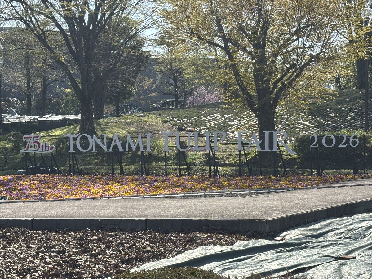 Mit Mat(みま) tweet media