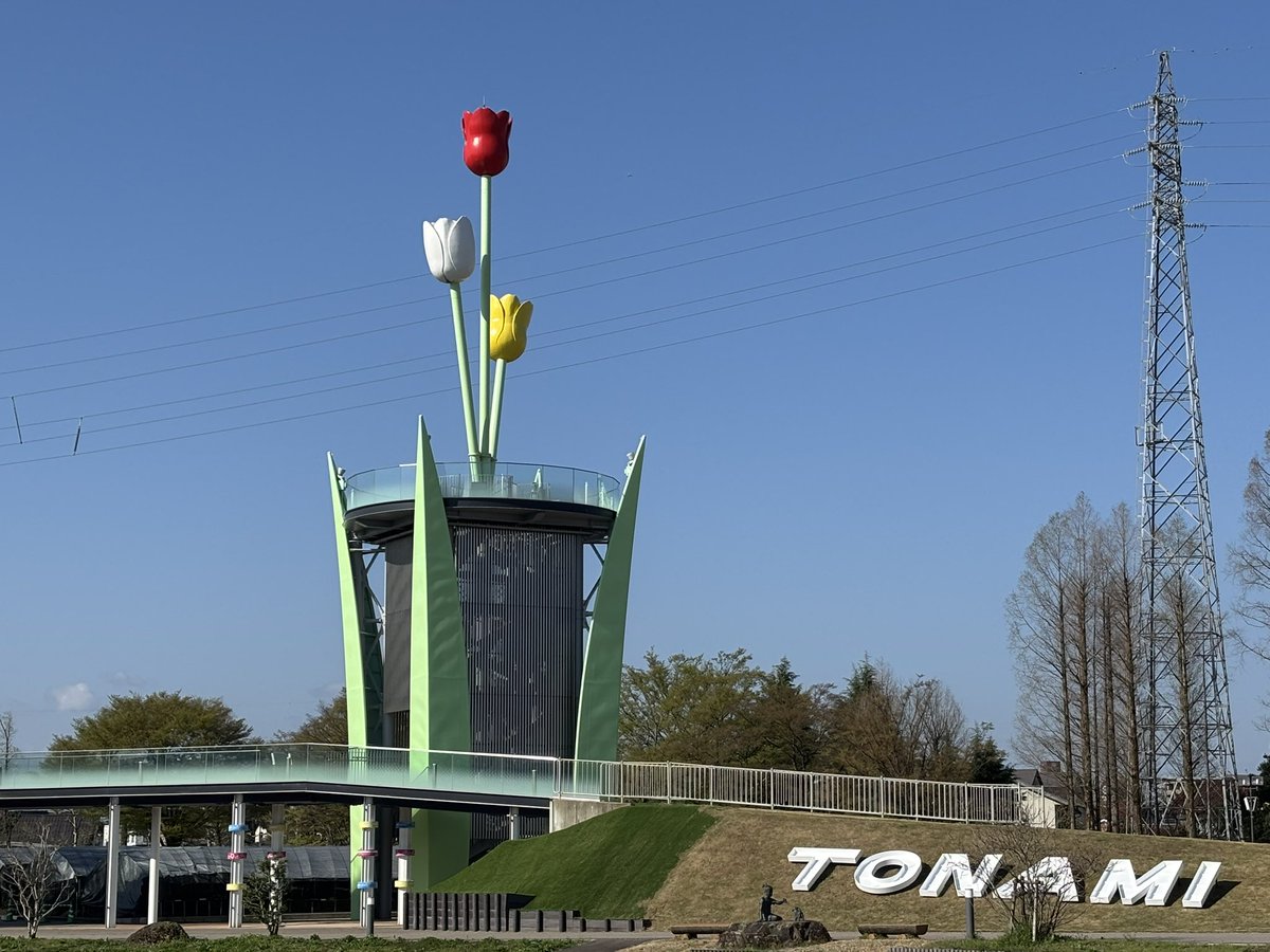 Mit Mat(みま) tweet media