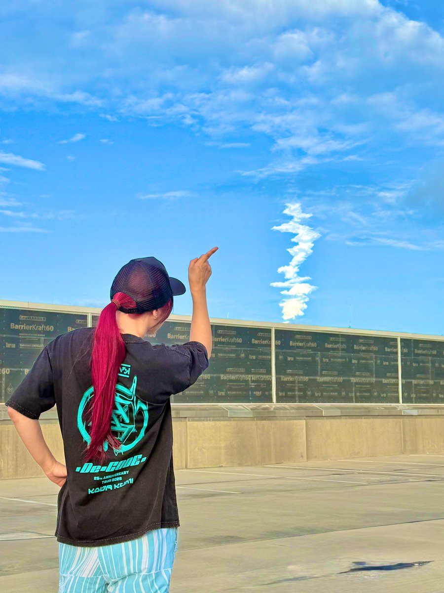 Genius Flying in the Sky. tweet media