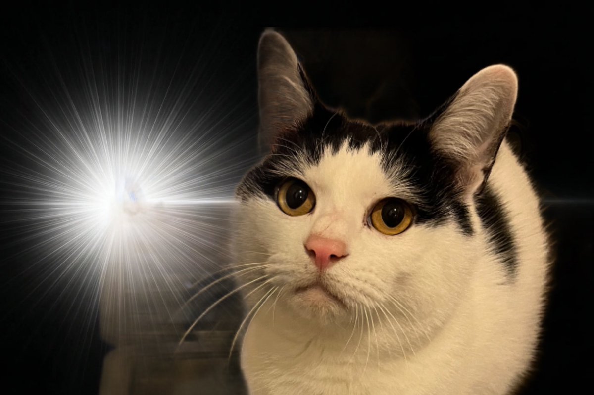 やまひと tweet media