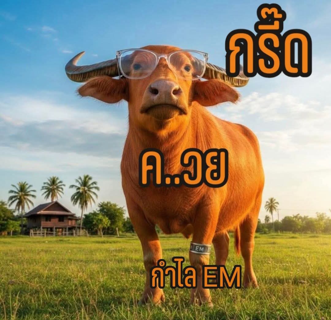 EKKSTUDIO3 tweet media