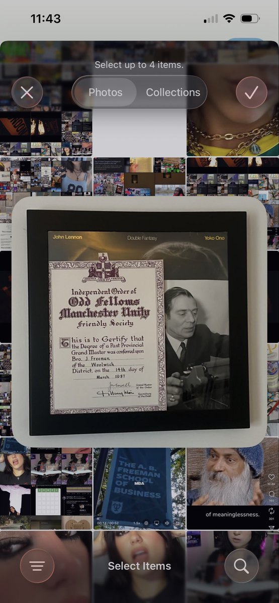 BelteshazzarFreeman108 tweet media