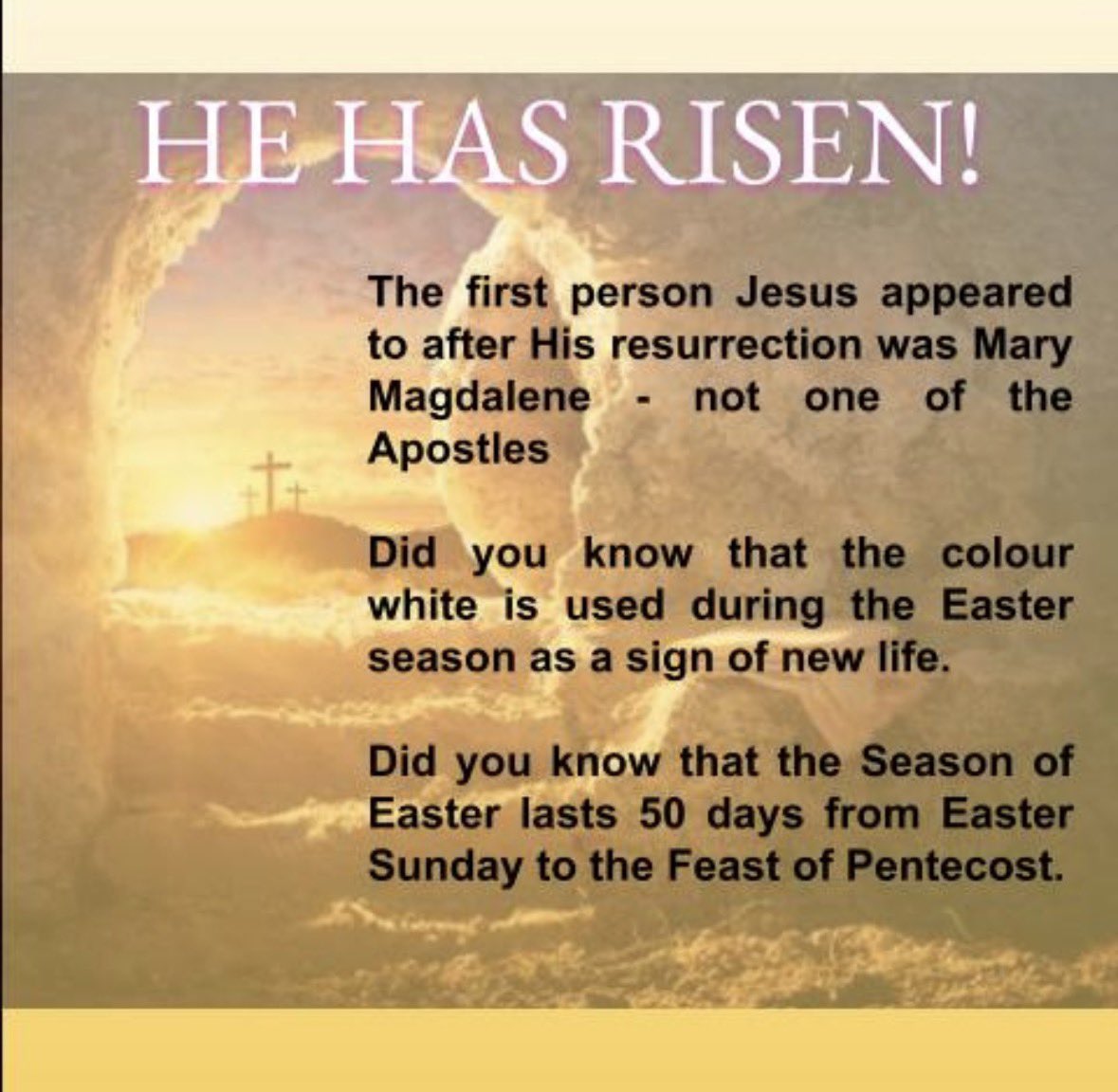 Catholic Central HS tweet media