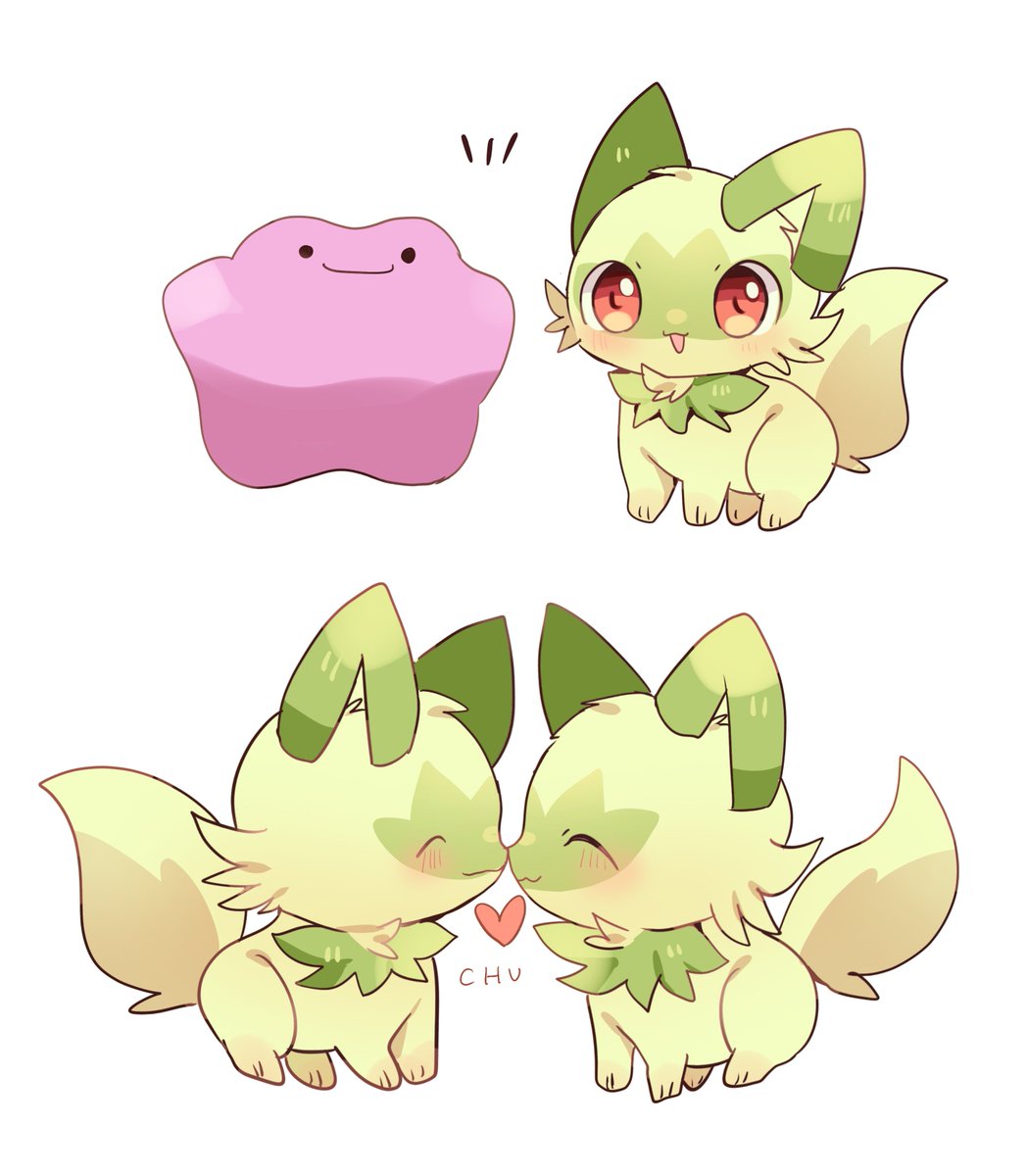 🌱ゆぽ仔🌱 tweet media