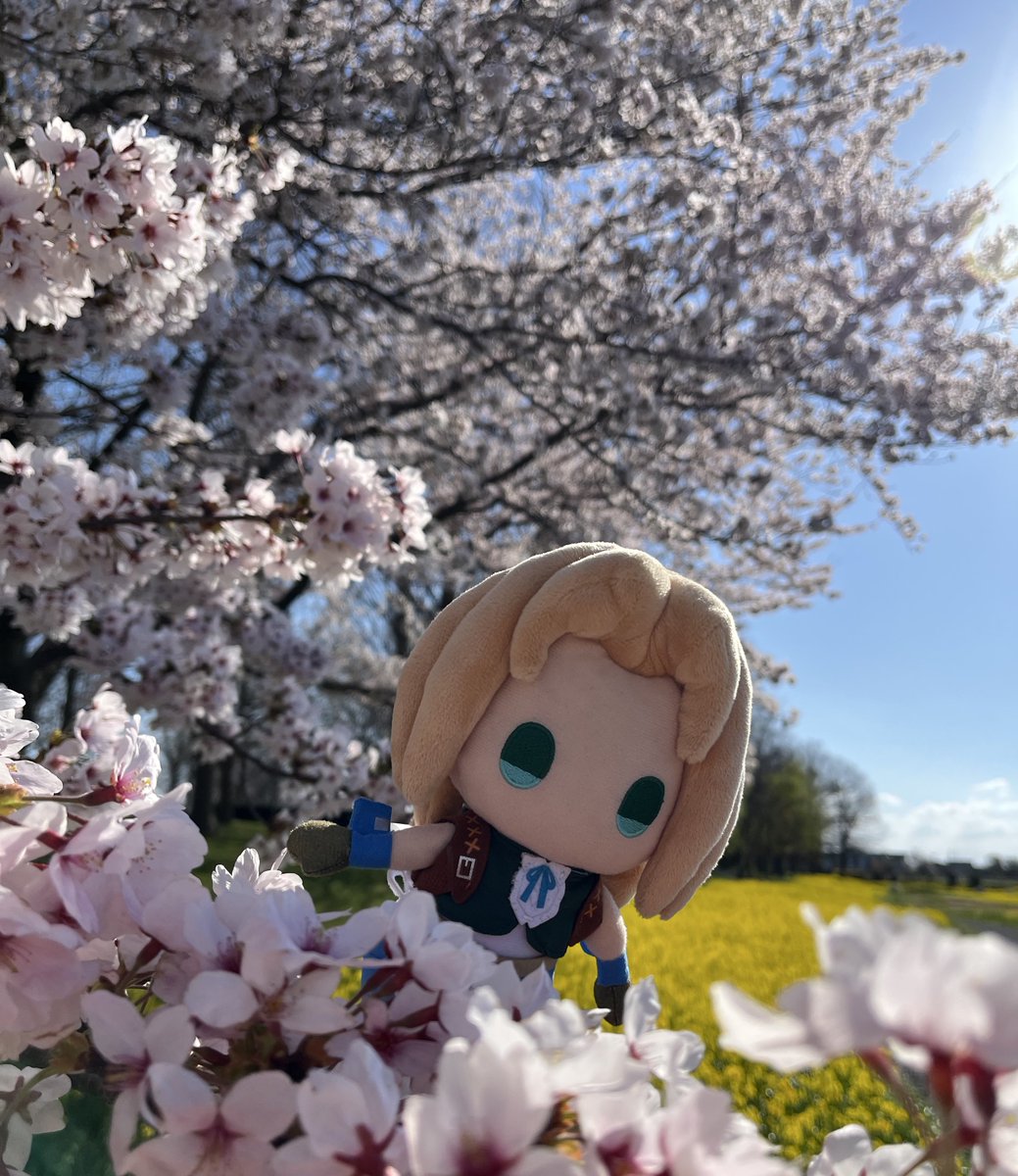 うるき tweet media