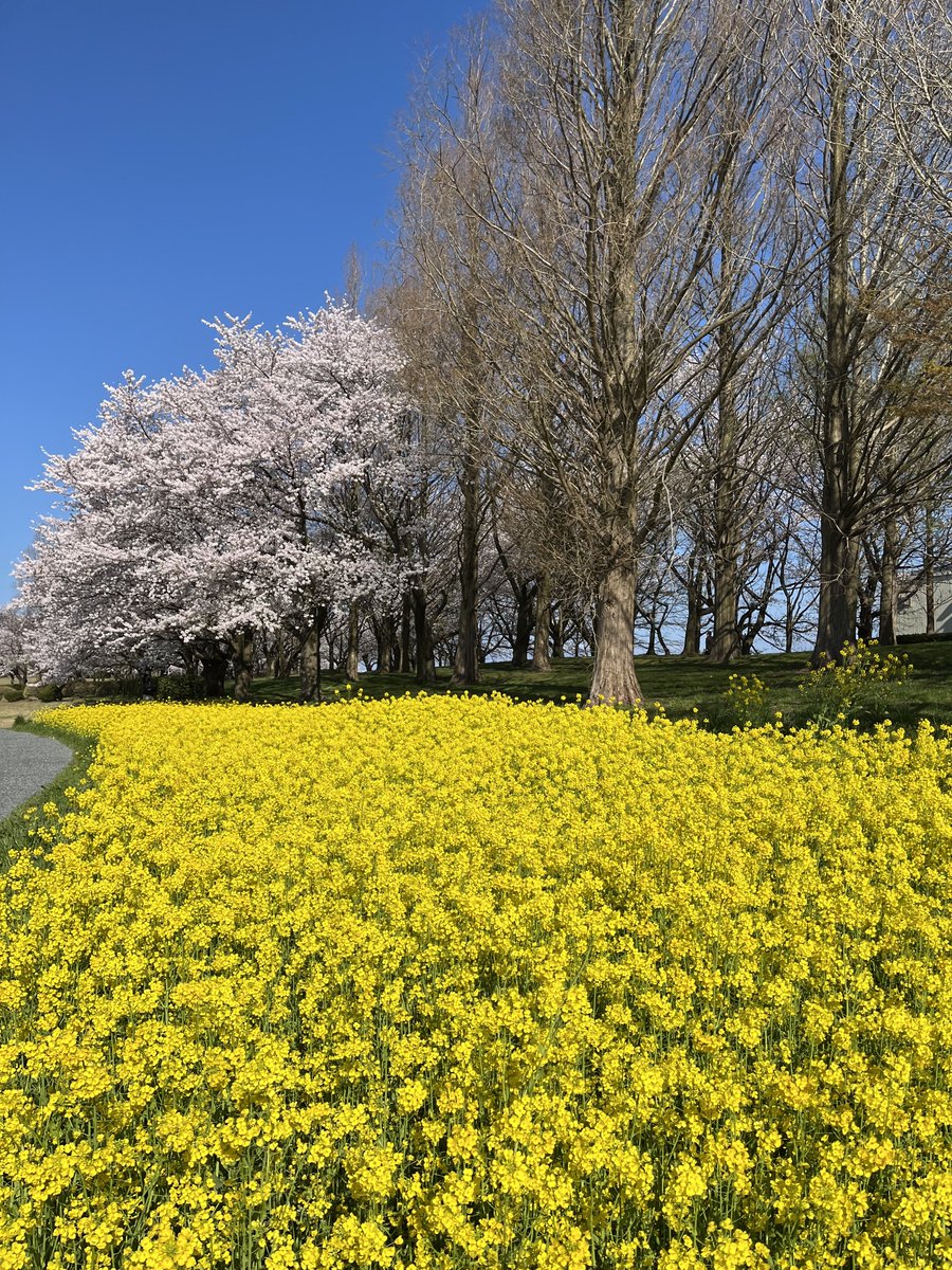 うるき tweet media